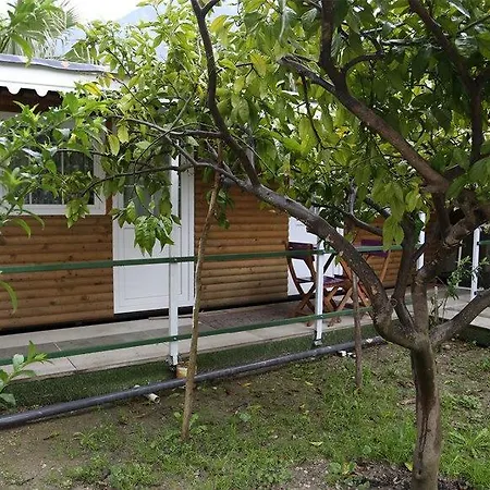 Marin Beldibi (Kemer)